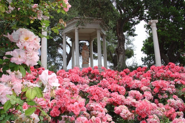 Rose Garden